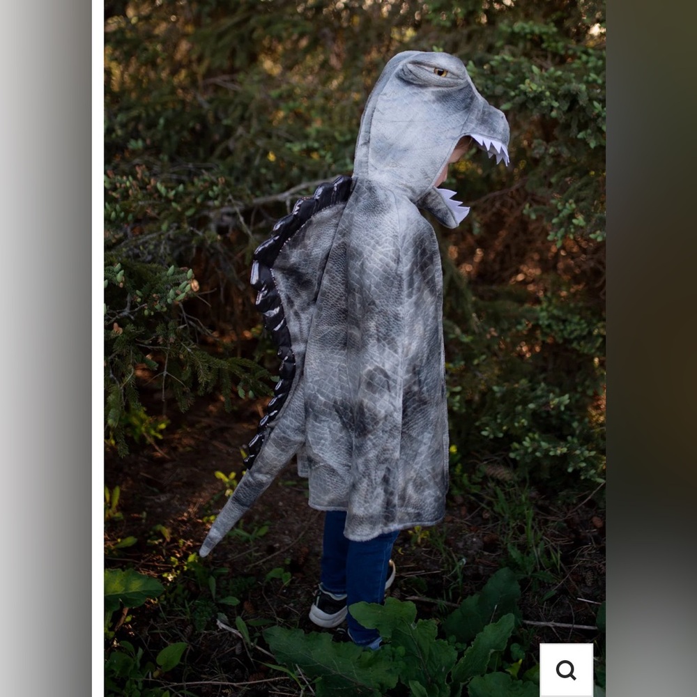 Kids Gray Dinosaur Hooded Costume